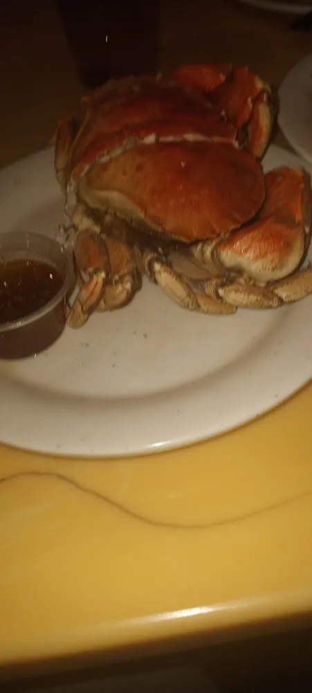 Dungeness Crab